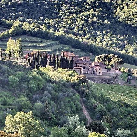 Residenza Antico Chianti Pensionat Panzano in Chianti Eksteriør billede
