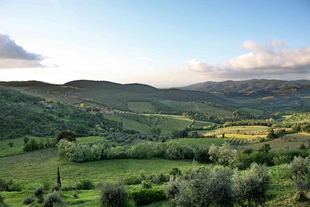 Residenza Antico Chianti Pensionat Panzano in Chianti Eksteriør billede