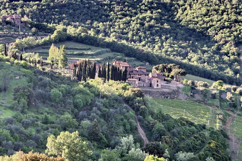 Residenza Antico Chianti Pensionat Panzano in Chianti Eksteriør billede