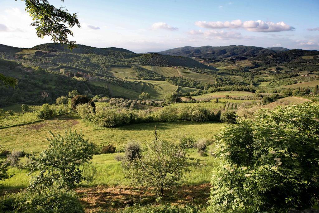 Residenza Antico Chianti Pensionat Panzano in Chianti Eksteriør billede